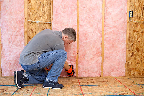 Best Attic Insulation Installation  in Tukwila, WA